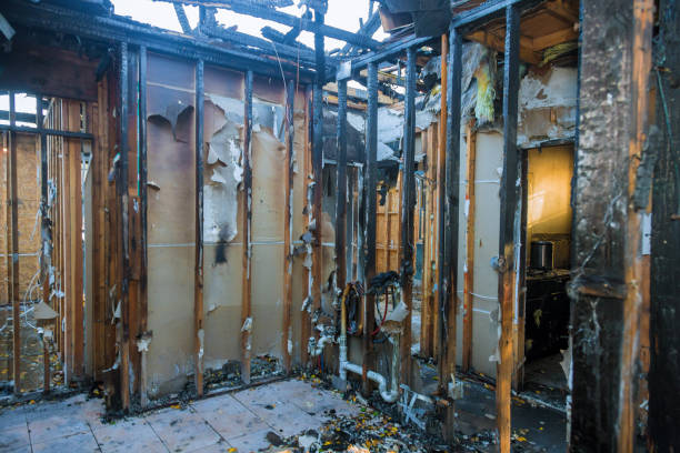 Professional Fire Damage Removal technician working in Forest City, FL